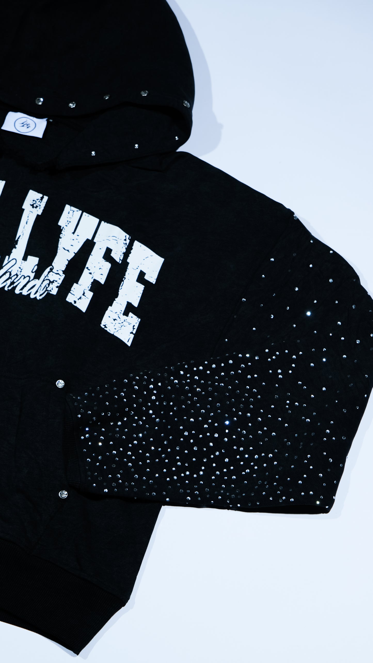 ASH BLACK WORLDWIDE HOODIE
